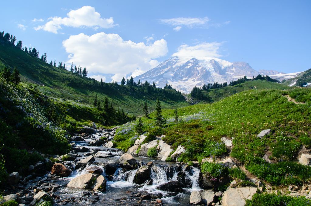 Beginning Degrowth Seattle